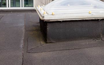 disadvantages of Craigs Middle flat roofs