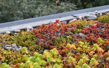the cost of Craigs Middle green roof installation