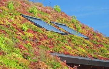 Craigs Middle living roof systems