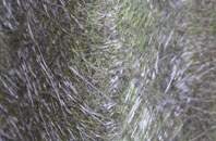 Craigs Middle fibreglass roof work